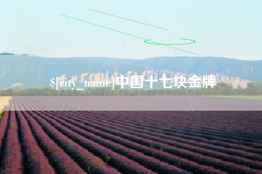 湖南中国十七块金牌