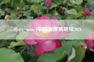 湖南中国金牌榜明细2021