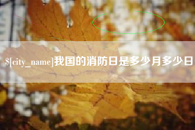湖南我国的消防日是多少月多少日