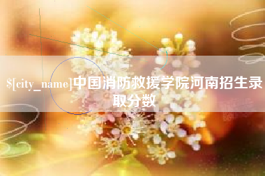 湖南中国消防救援学院河南招生录取分数