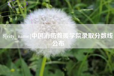 湖南中国消防救援学院录取分数线公布