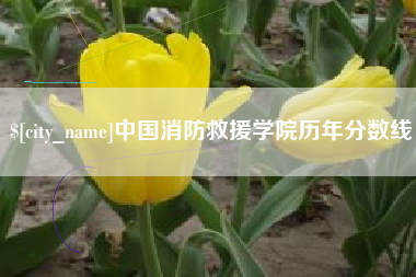 湖南中国消防救援学院历年分数线
