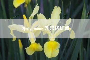 湖南九宫格优点