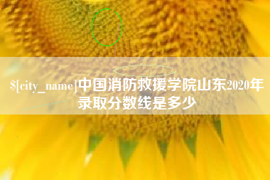 湖南中国消防救援学院山东2020年录取分数线是多少