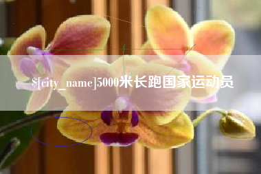 湖南5000米长跑国家运动员
