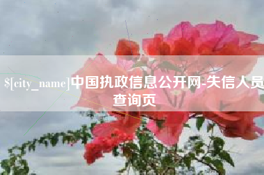 湖南中国执政信息公开网-失信人员查询页