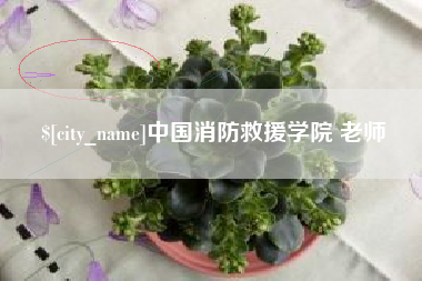 湖南中国消防救援学院 老师