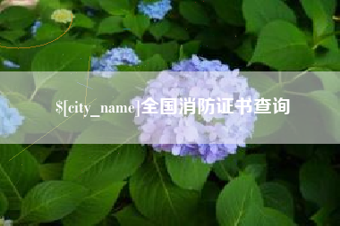 湖南全国消防证书查询