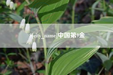 湖南中国第9金