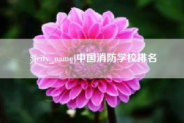 湖南中国消防学校排名