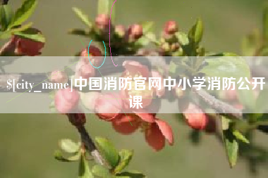 湖南中国消防官网中小学消防公开课