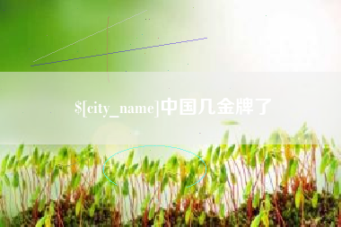 湖南中国几金牌了