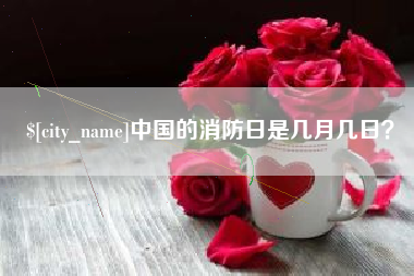 湖南中国的消防日是几月几日？