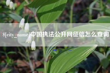 湖南中国执法公开网征信怎么查询