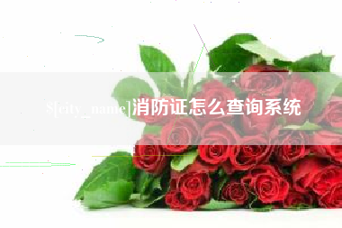 湖南消防证怎么查询系统