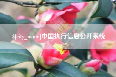 湖南中国执行信息公开系统