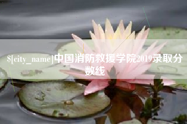 湖南中国消防救援学院2019录取分数线