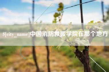 湖南中国消防救援学院在那个地方