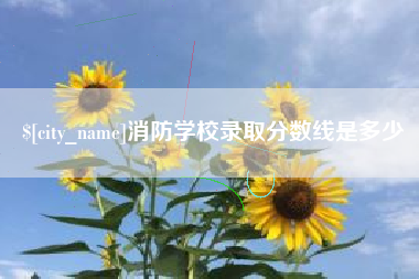 湖南消防学校录取分数线是多少