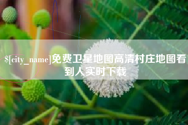 湖南免费卫星地图高清村庄地图看到人实时下载