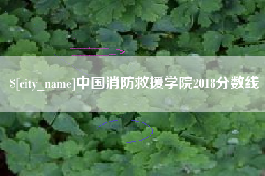 湖南中国消防救援学院2018分数线