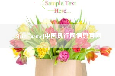 湖南中国执行网信息官网