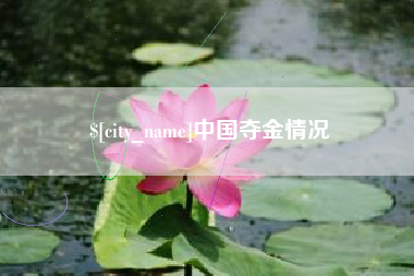 湖南中国夺金情况