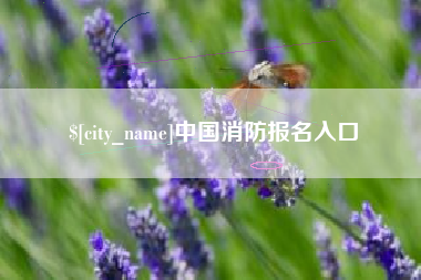 湖南中国消防报名入口