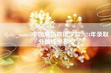 湖南中国消防救援学院2024年录取分数线是多少