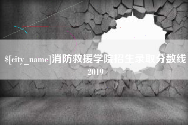 湖南消防救援学院招生录取分数线2019
