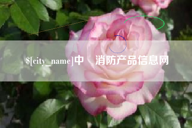 湖南中囯消防产品信息网