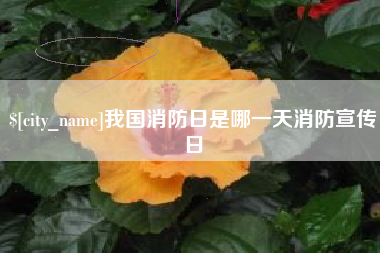 湖南我国消防日是哪一天消防宣传日