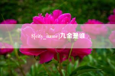 湖南九金是谁