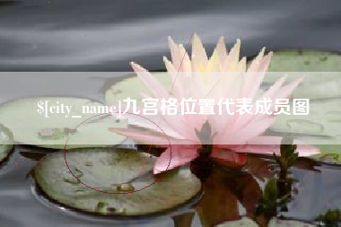 湖南九宫格位置代表成员图