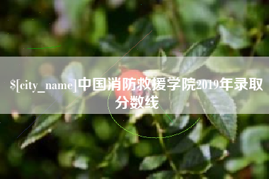 湖南中国消防救援学院2019年录取分数线