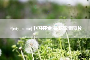 湖南中国夺金海报高清图片