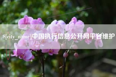 湖南中国执行信息公开网平台维护