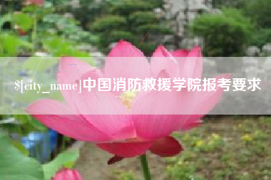 湖南中国消防救援学院报考要求