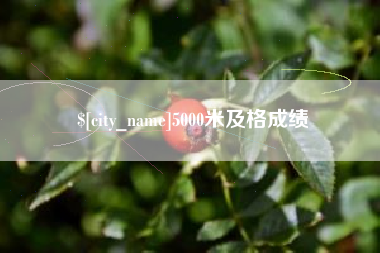 湖南5000米及格成绩