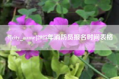 湖南2025年消防员报名时间表格