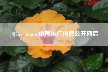 湖南中国执行信息公开网后