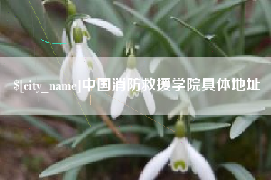 湖南中国消防救援学院具体地址