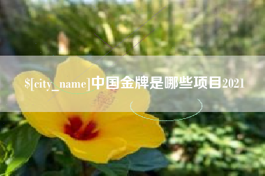 湖南中国金牌是哪些项目2021