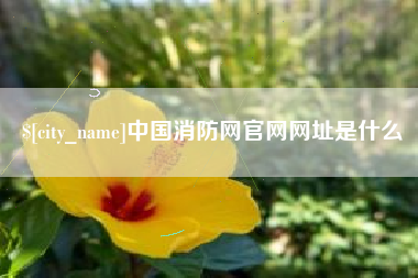 湖南中国消防网官网网址是什么
