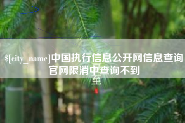 湖南中国执行信息公开网信息查询官网限消中查询不到