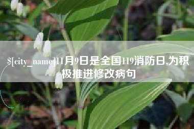 湖南11月9日是全国119消防日,为积极推进修改病句