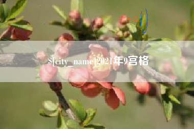 湖南2021年9宫格