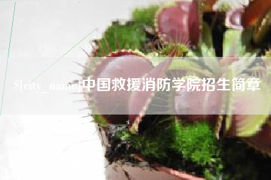 湖南中国救援消防学院招生简章