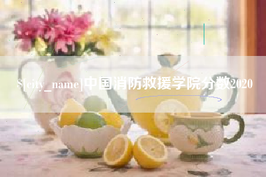 湖南中国消防救援学院分数2020