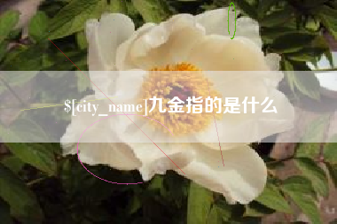 湖南九金指的是什么